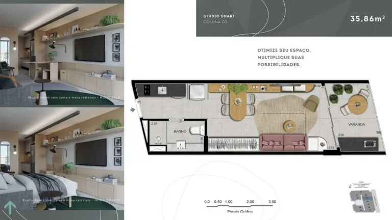 Planta 6