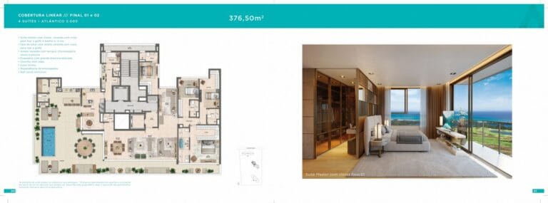 Planta 6