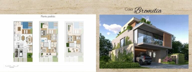 Planta 5