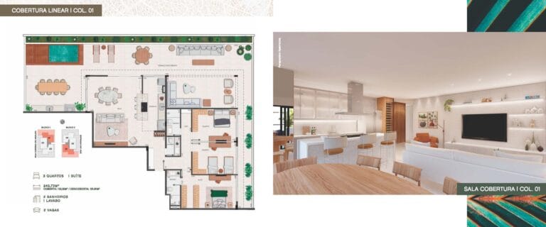 Planta 6