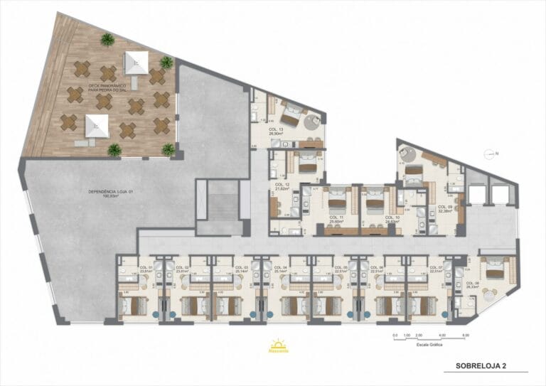 Planta 6