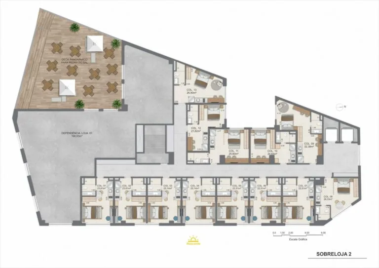 Planta 6