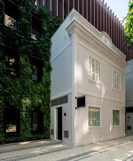 Saint Patricks Mozak Comercial