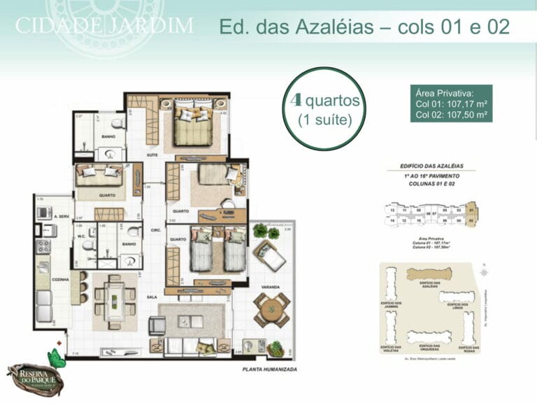 Planta 6