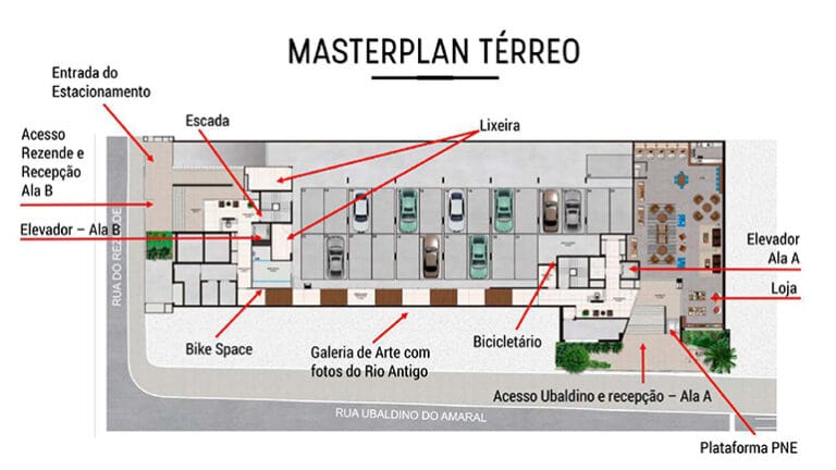 Planta 4