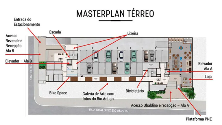 Planta 4