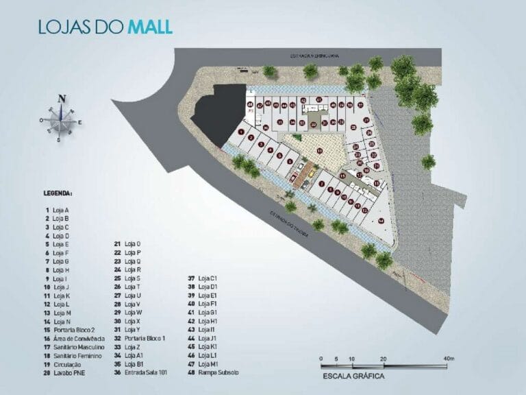 Planta 6