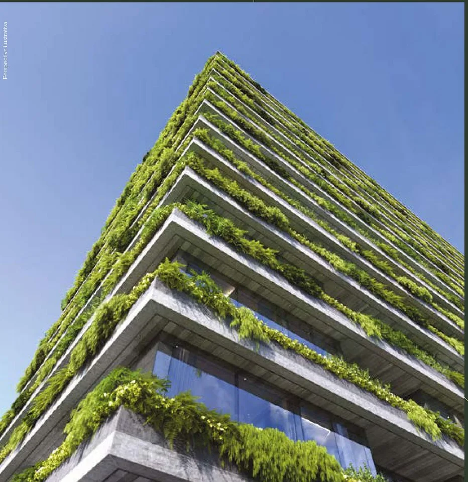 Construtora
