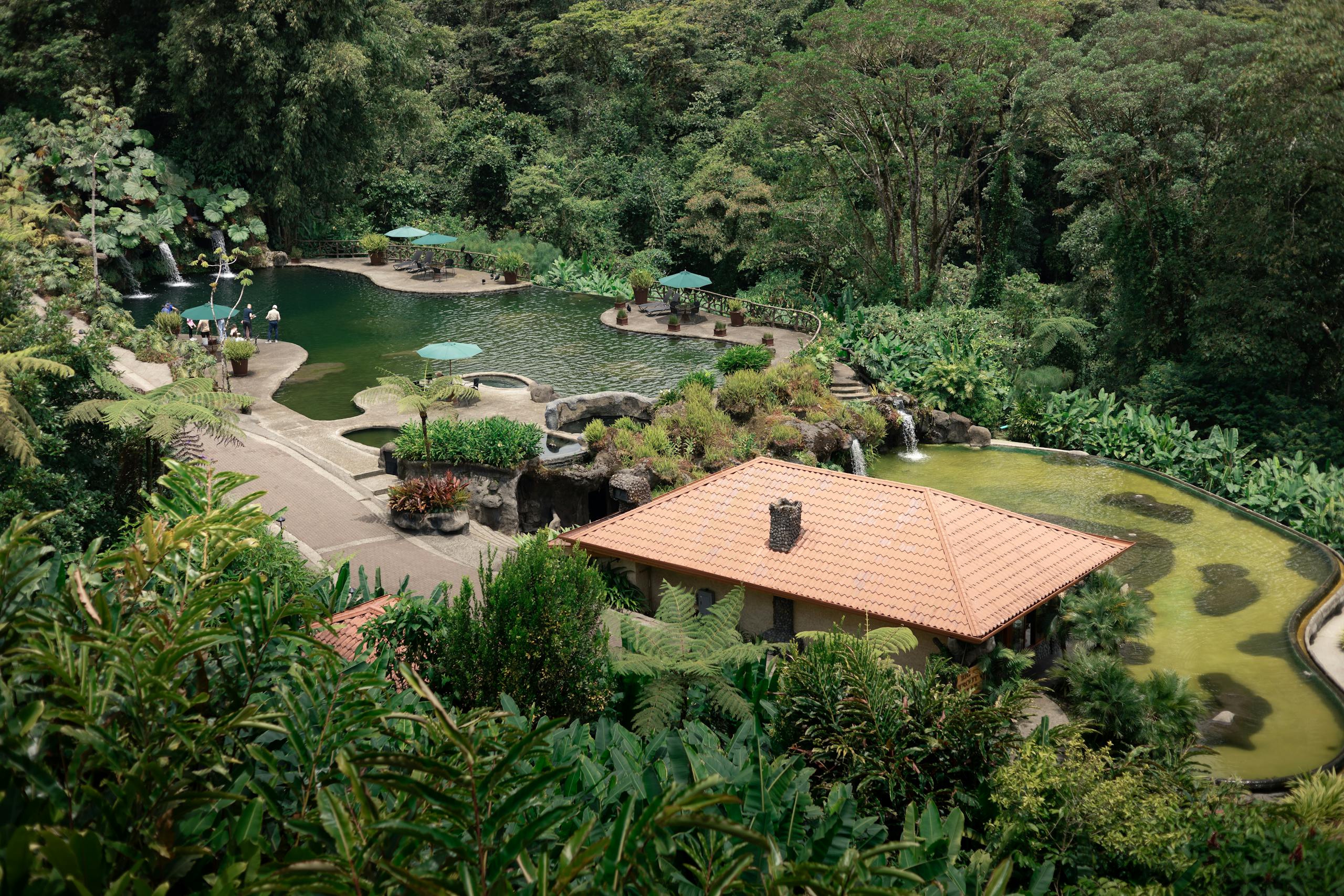 Explore a tranquil tropical resort with a serene pool area embedded in lush greenery. Perfect for relaxing escapes.