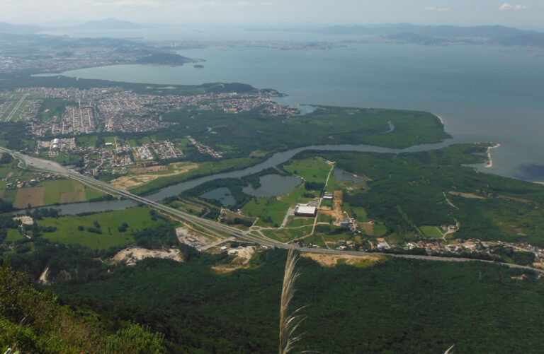 Leilão de Terreno de 59 Mil m² em Palhoça pela Celesc: Impactos e Oportunidades