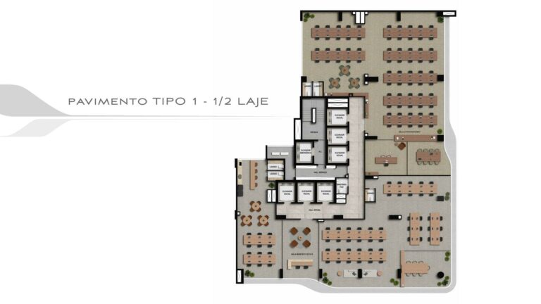 Planta 5