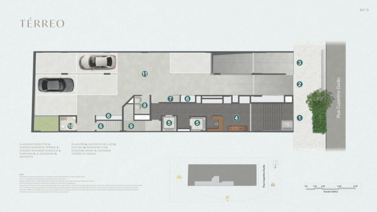 Planta 6