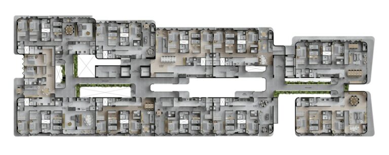 Planta 6