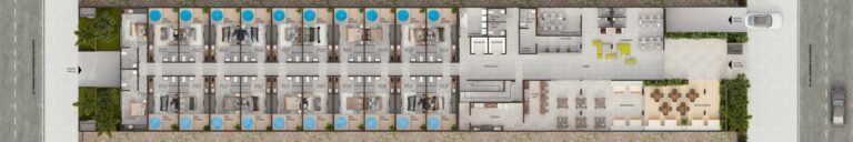 Planta 4