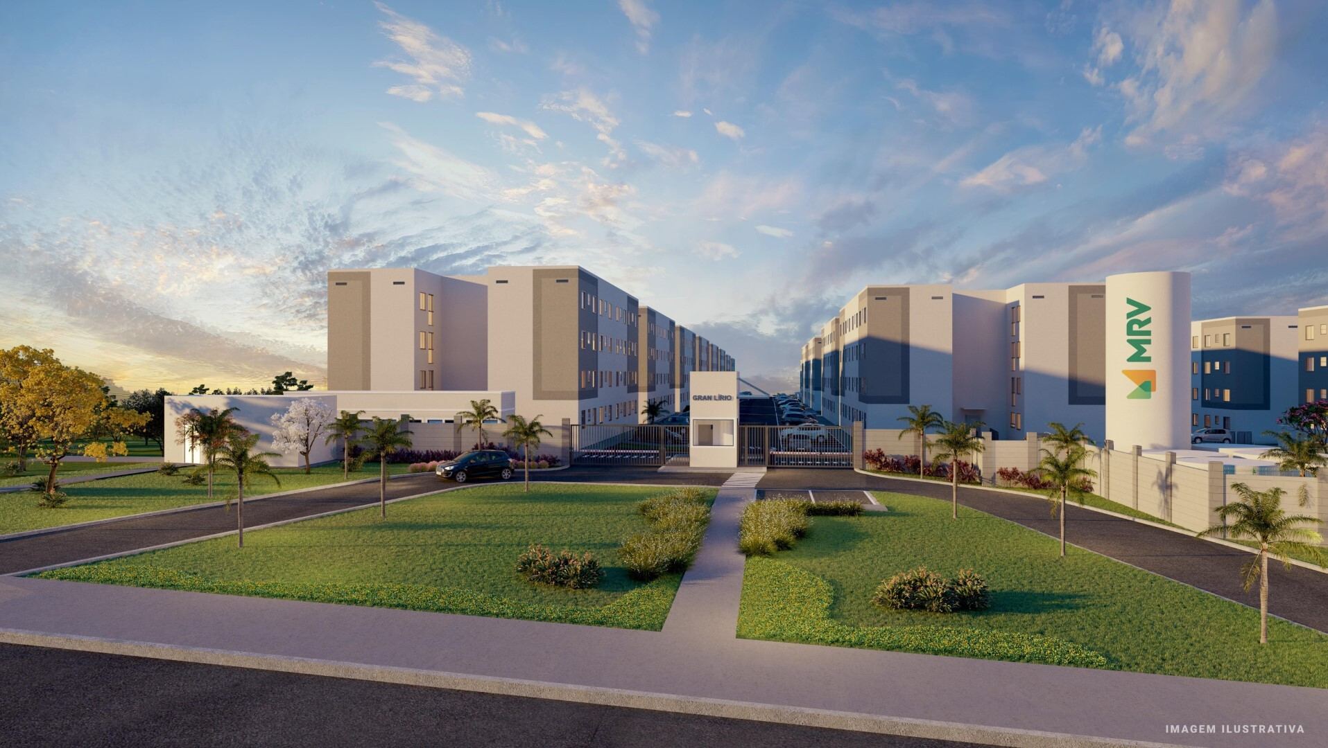 Gran Lírio