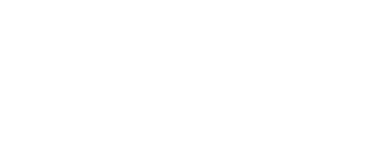 Metropolitan Marista