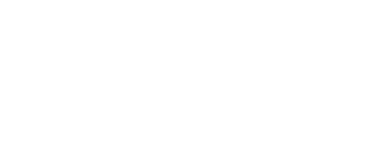 Solo Vaca Brava CMO