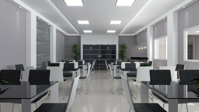 Galeria 1