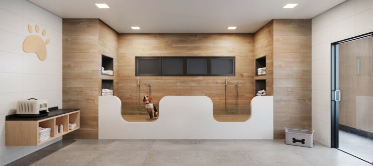 Galeria 6