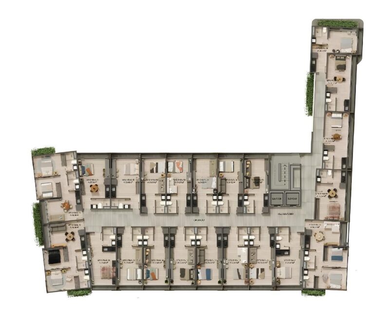 Planta 2