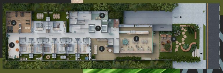 Planta 6