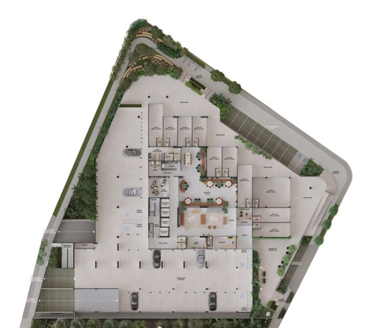 Planta 5