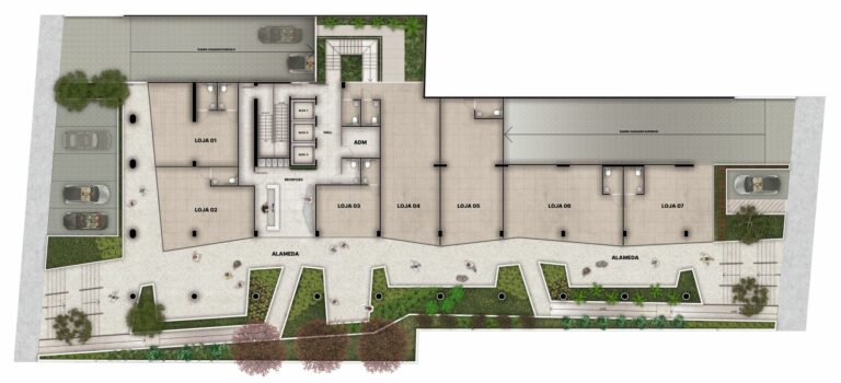 Planta 6