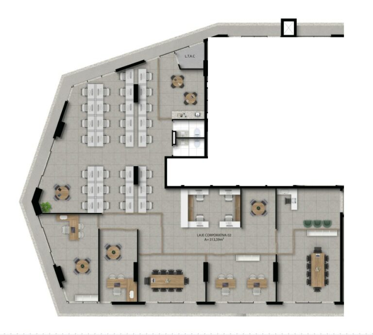Planta 6