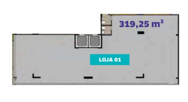 Planta 6
