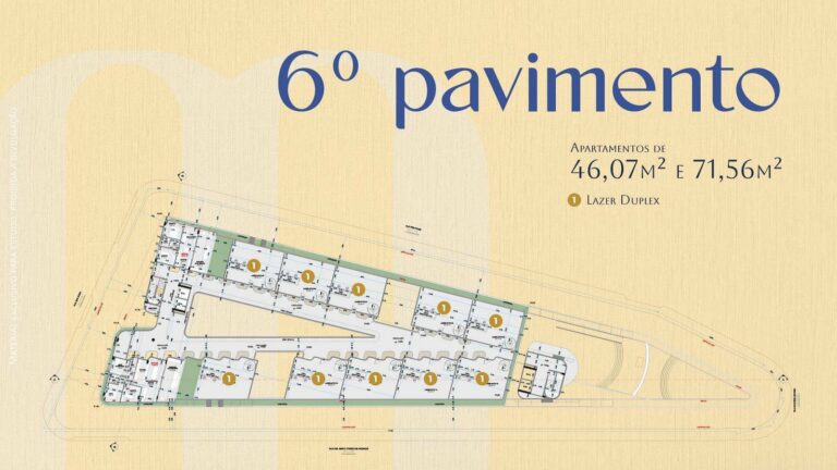Planta 6