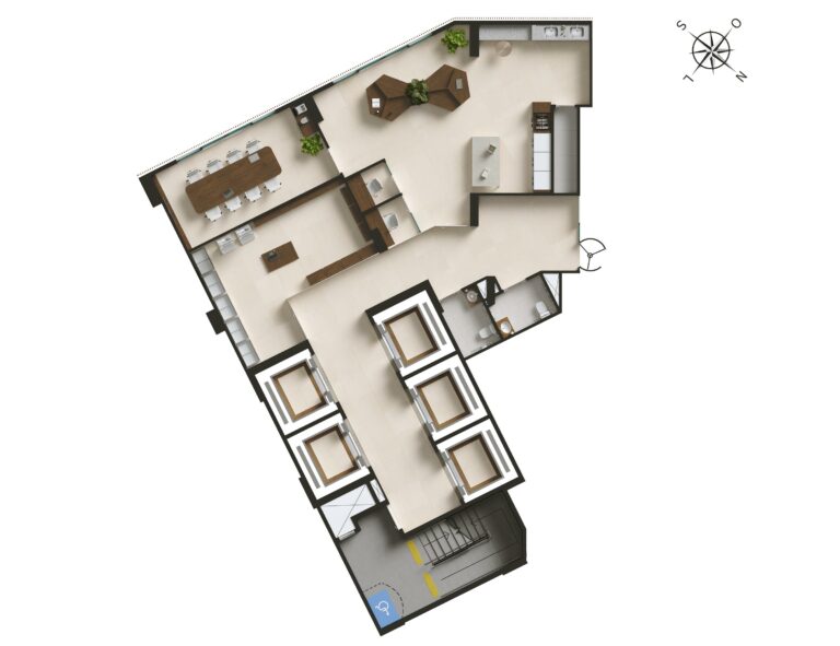 Planta 5