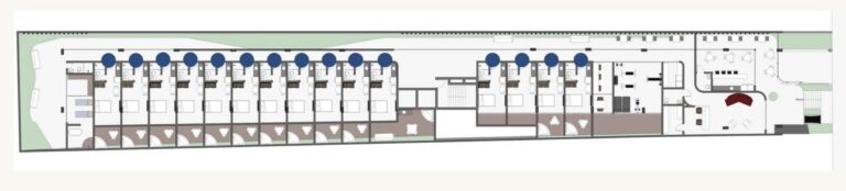 Planta 5