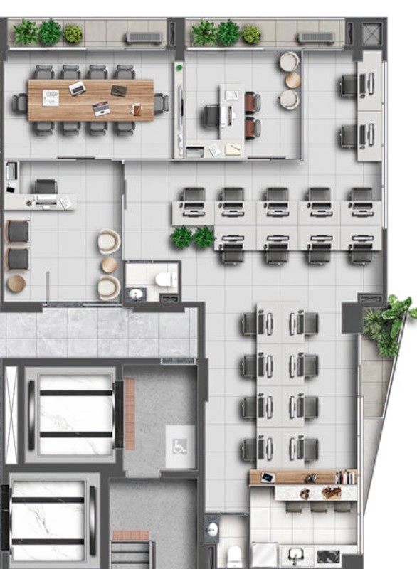 Planta 5