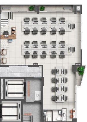 Planta 6