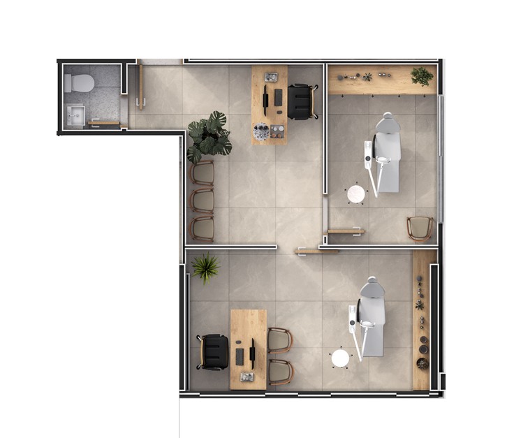 Planta 6