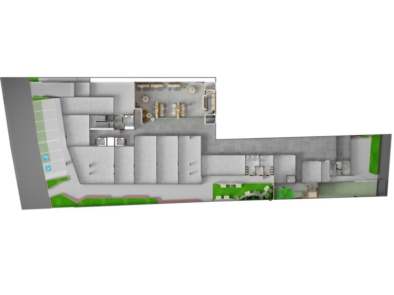 Planta 5