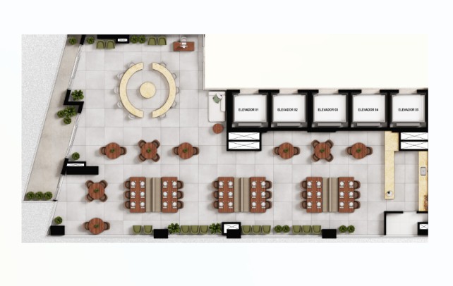 Planta 6