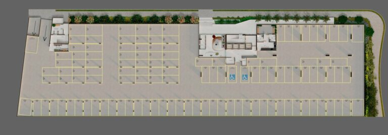 Planta 6