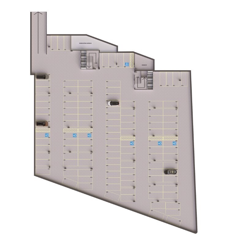 Planta 5