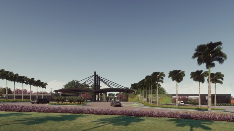 Galeria 1