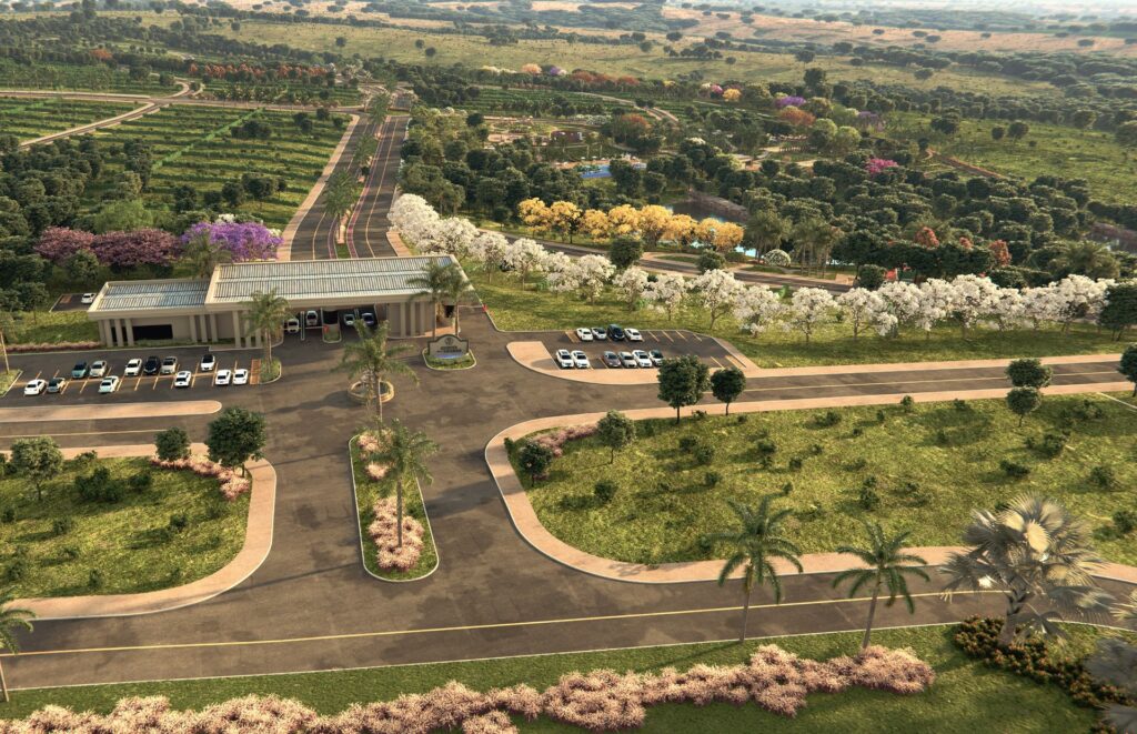Construtora
