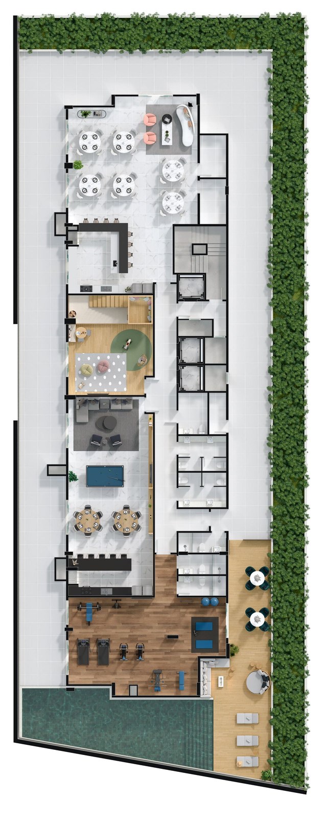Planta 4