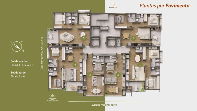 Planta 5