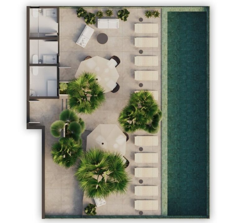 Planta 6