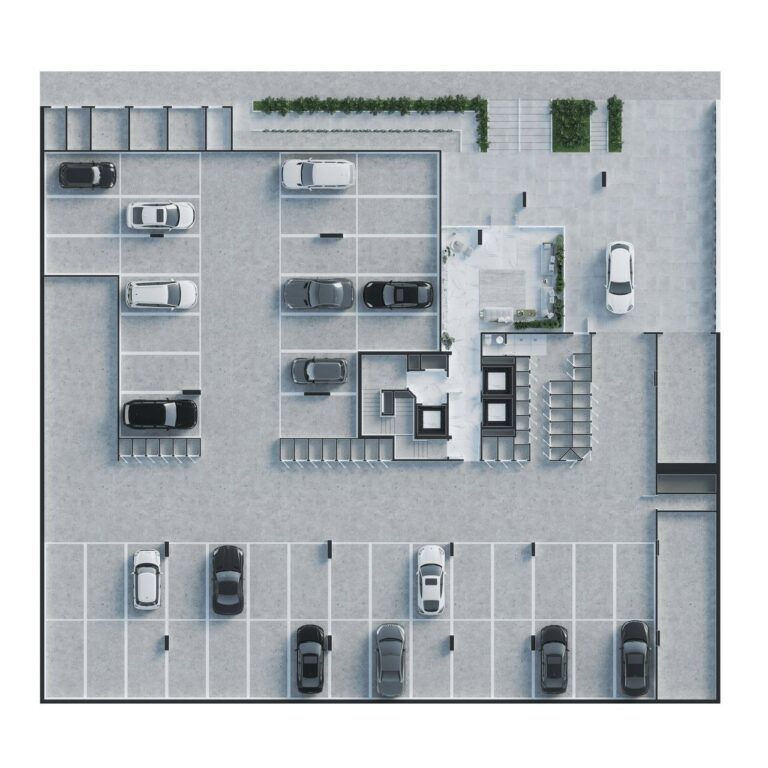 Planta 6